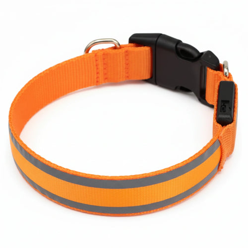Cosyrae™ Collare luminoso